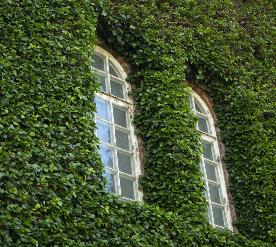 Klippan windows Klippan windows